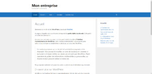 Page d'accueil WordPress en mode site web
