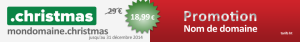 Enregistrez votre nom de domaine sous l'extension .CHRISTMAS avant le mercredi 31 décembre 2014 pour profiter de cette promotion et économisez.