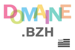 gtld-point-BZH
