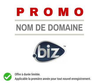 Promotion .BIZ
