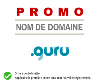 Promotion sur le nom de domaine GURU