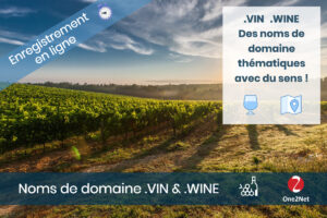 Nom de domaine VIN et WINE