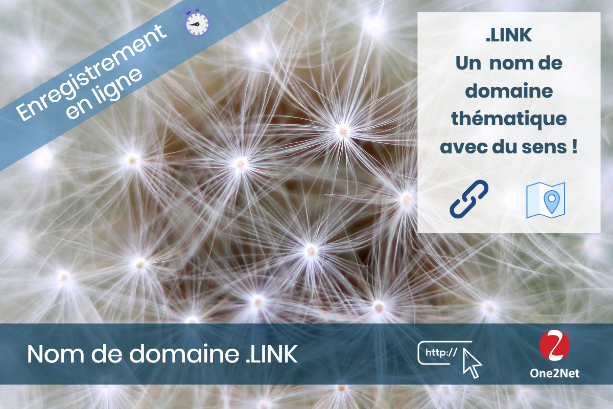 Nom de domaine .LINK - One2Net