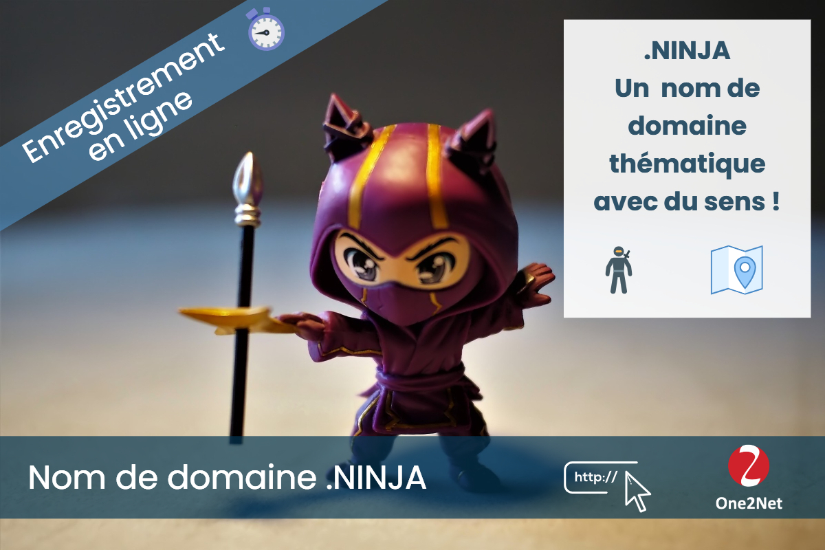 Nom de domaine .NINJA - One2Net