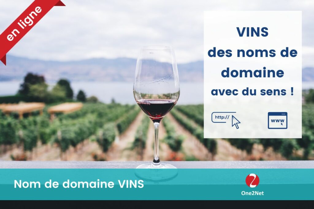 Nom de domaine Vin et Wine