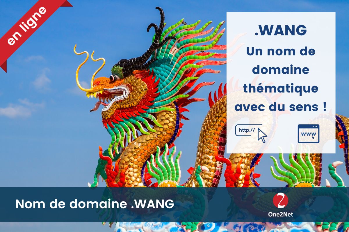 Nom de domaine .WANG - One2Net